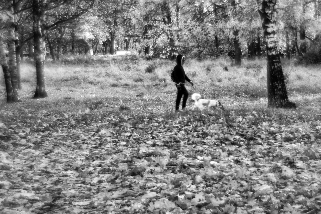 Прогулка в парке