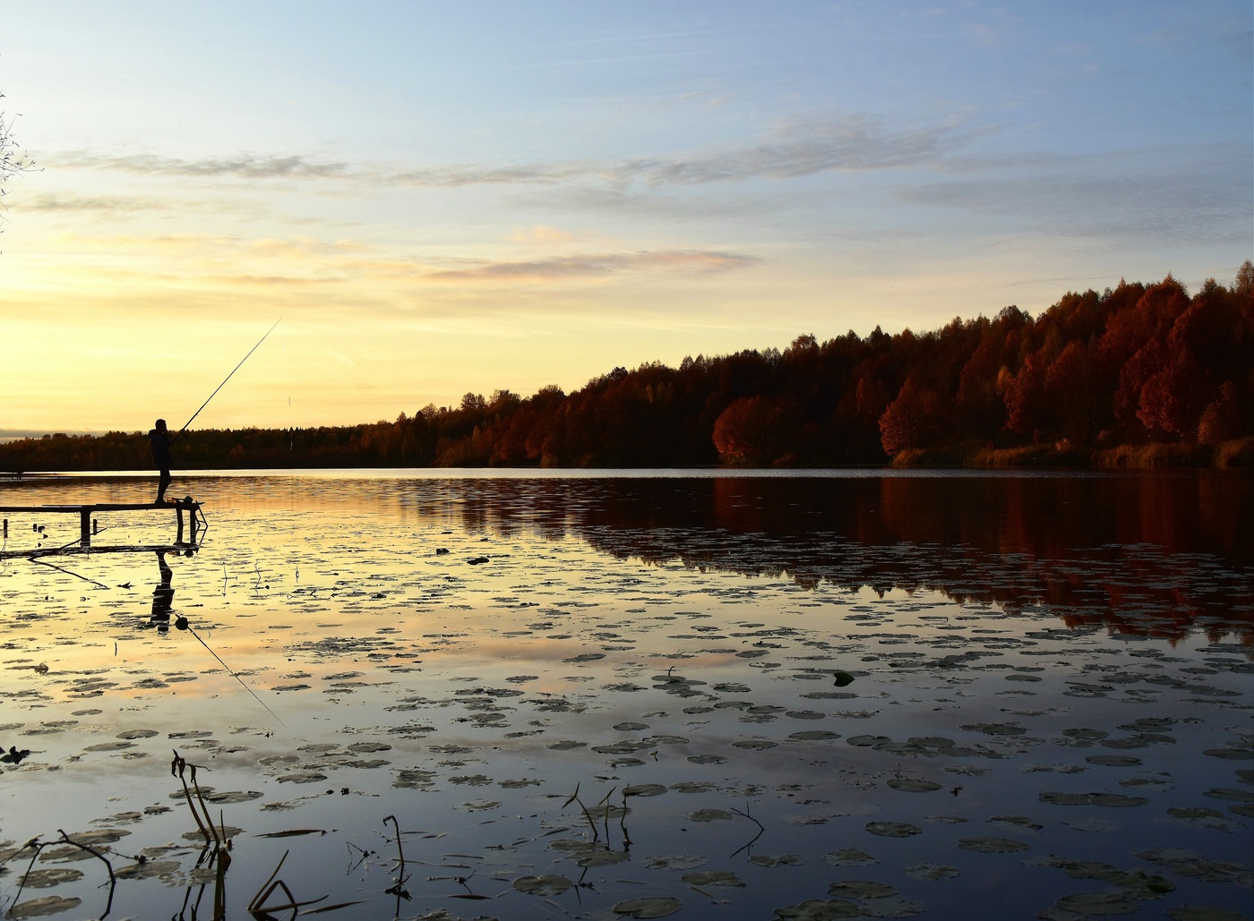 Как поймать золотую рыбку 2
