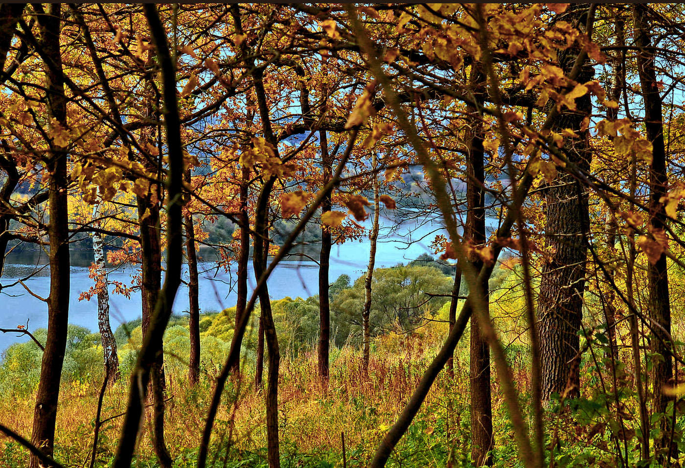 Вьётся лентой голубой сквозь осенний цвет Ока