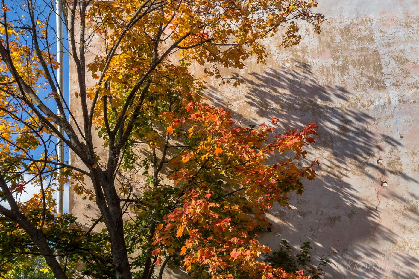 Осень у дома