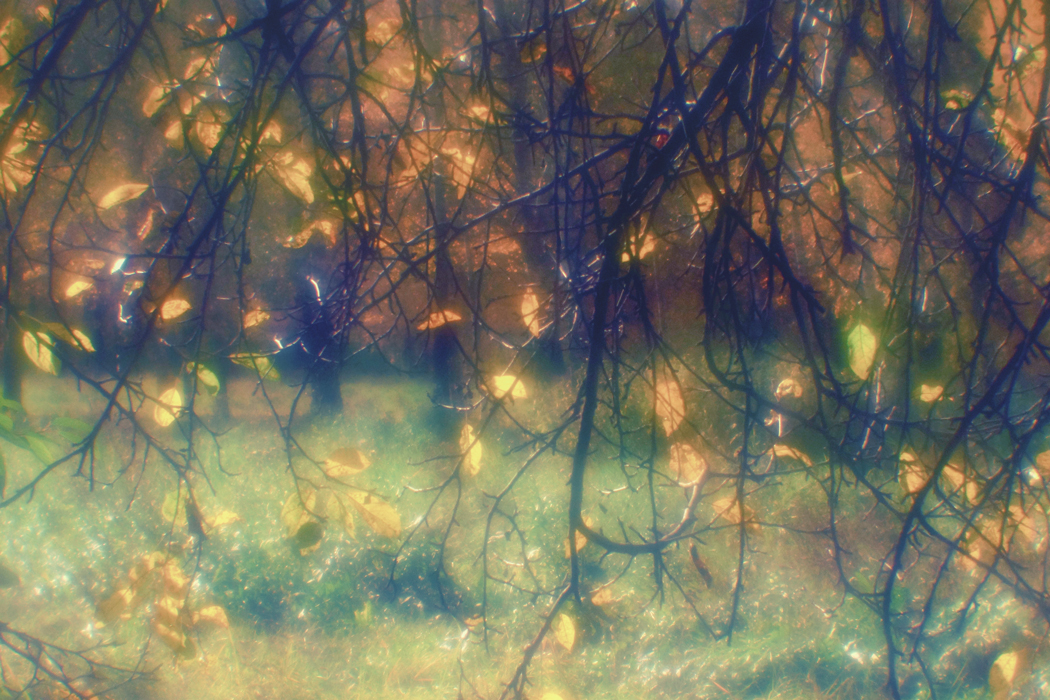 Прогулка в парке-2