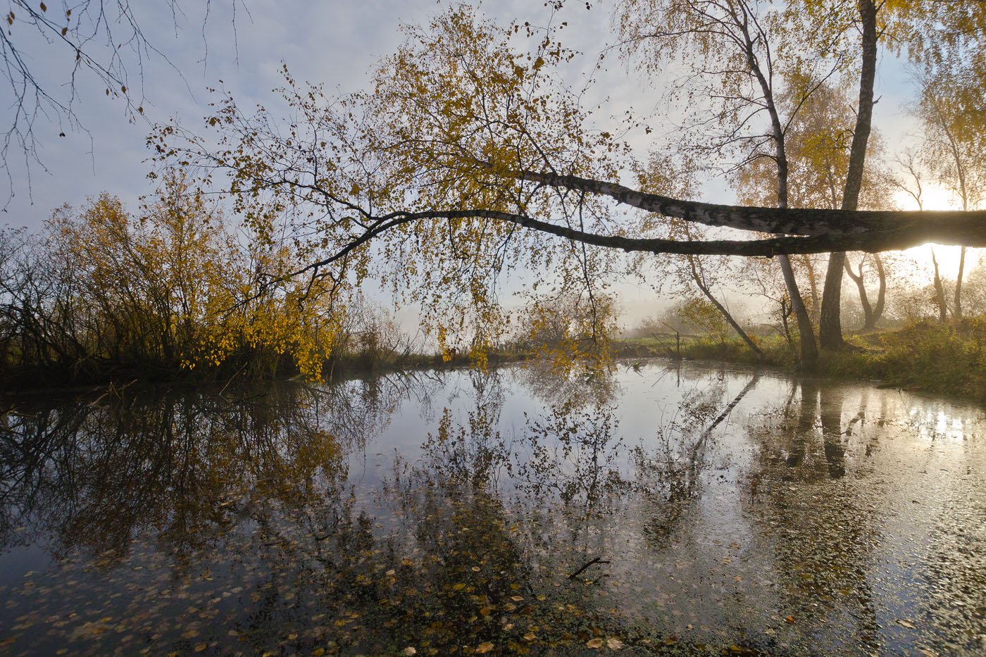 Осеннее болотце