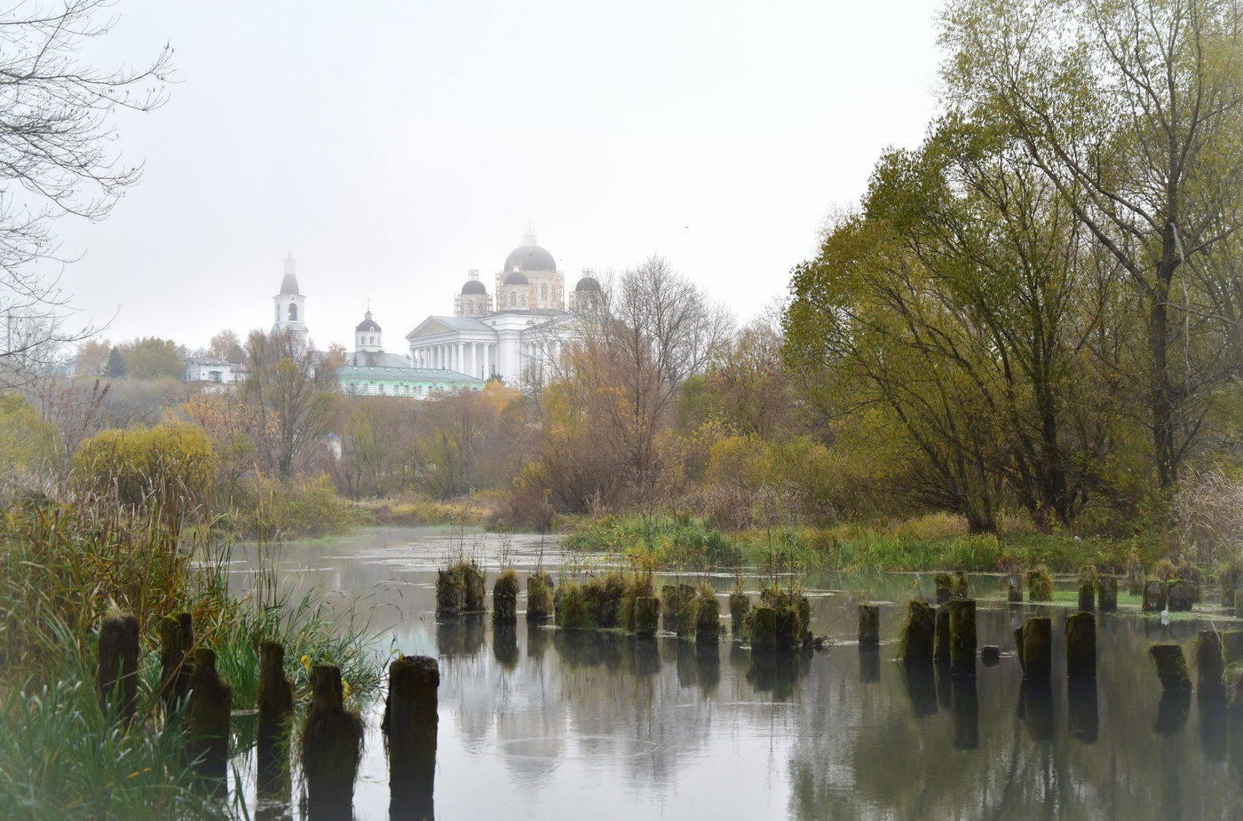 Туманным утром нас встречая