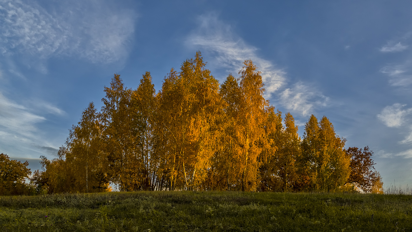 Осеннее утро