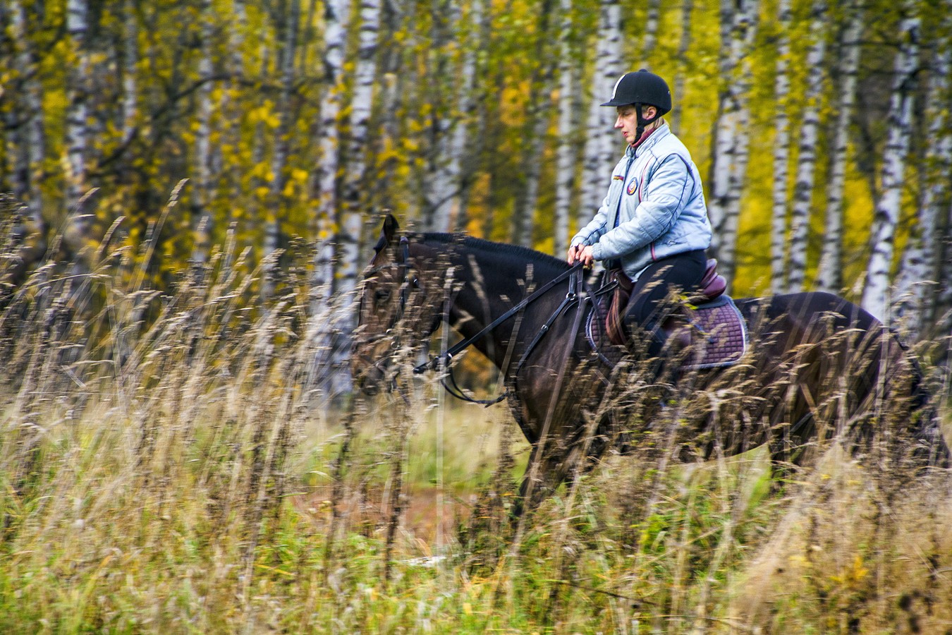 По осенней тропе.