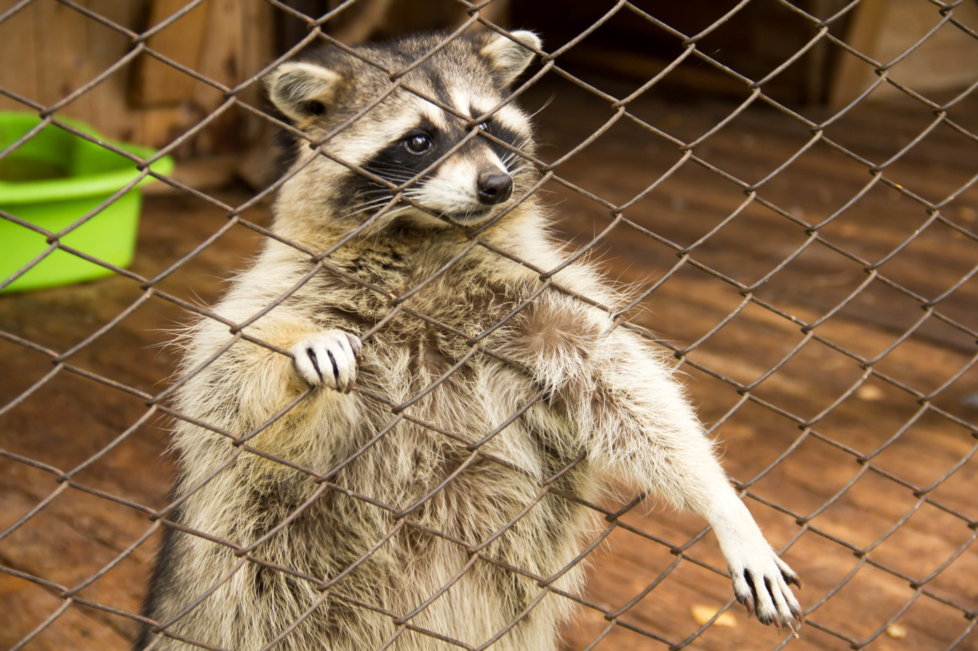 Свободу Юрию Деточкину!