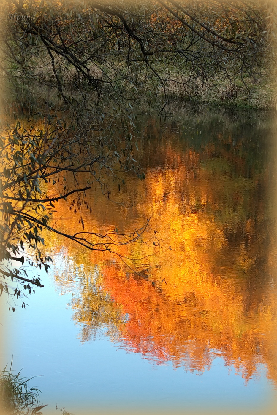 в перевернутом мире...