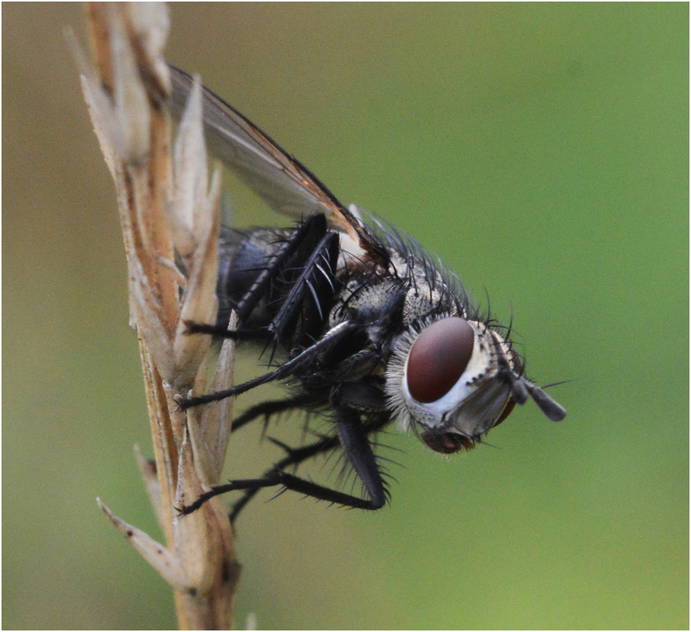 Одиночество.