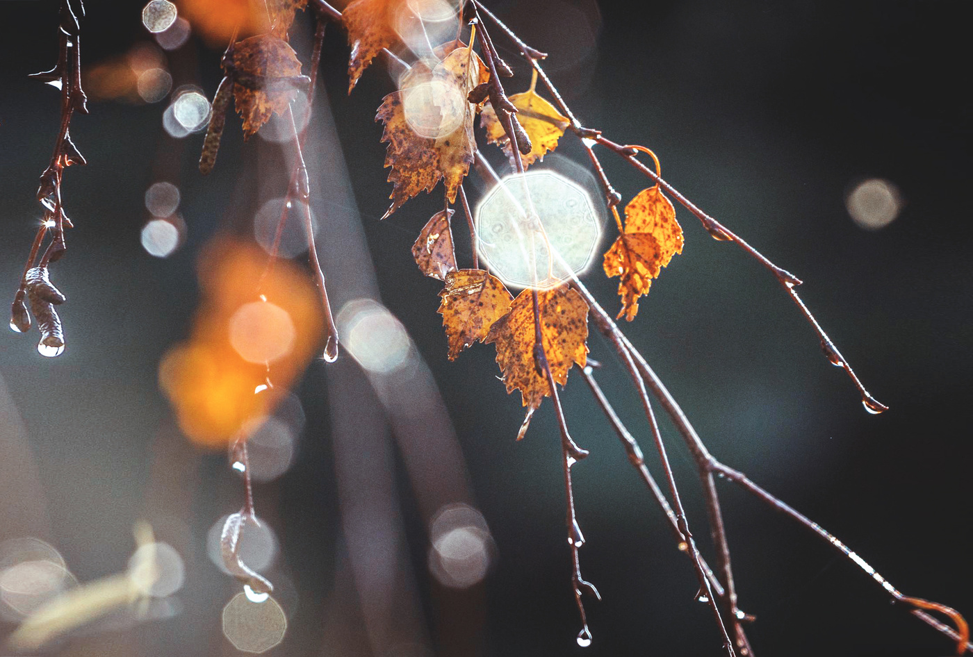 Игра бликов.