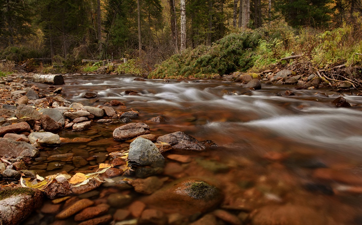 Таежная речка.