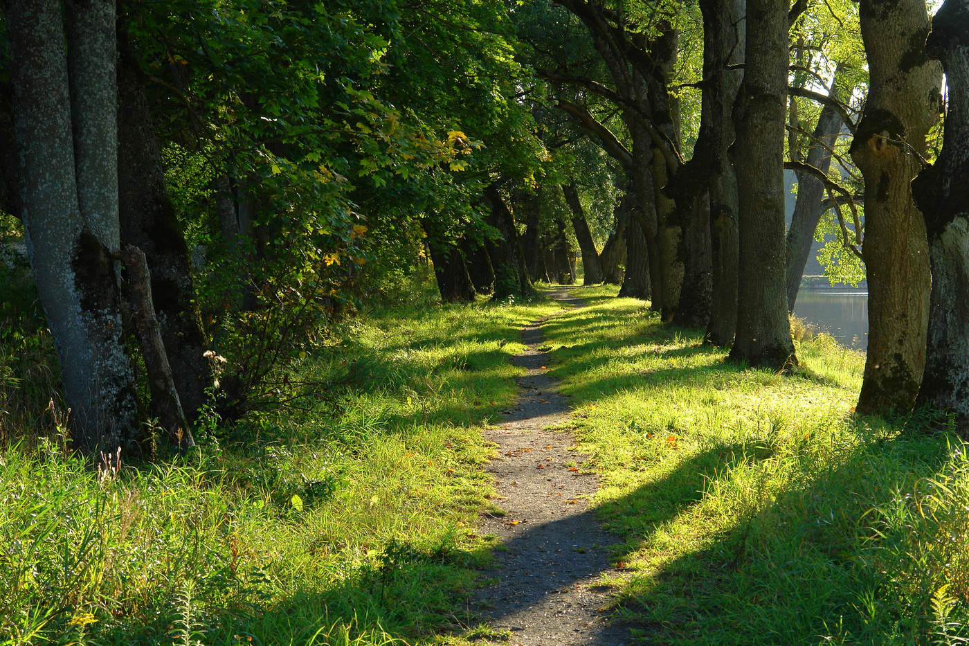 Аллея влюбленных