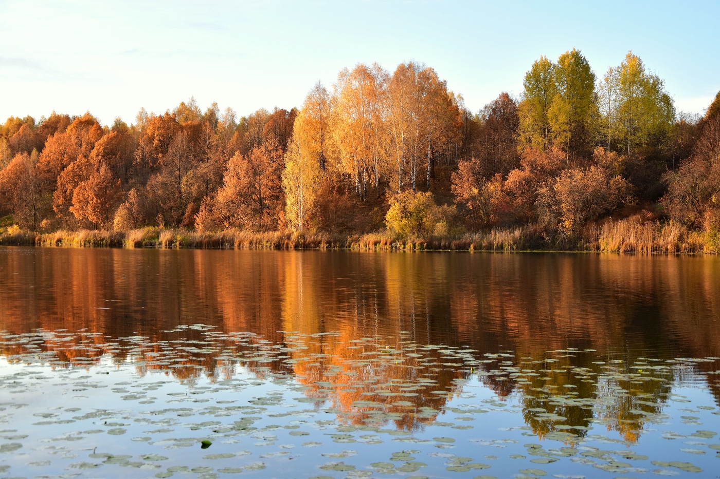 И все-таки осень,Красавица-осень...