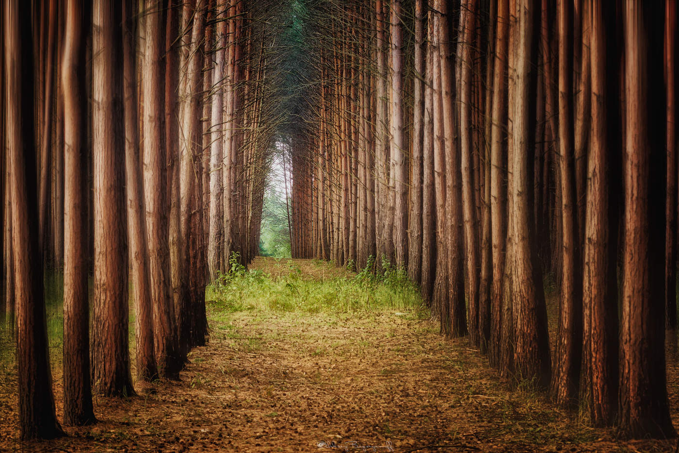 Сквозь строй.