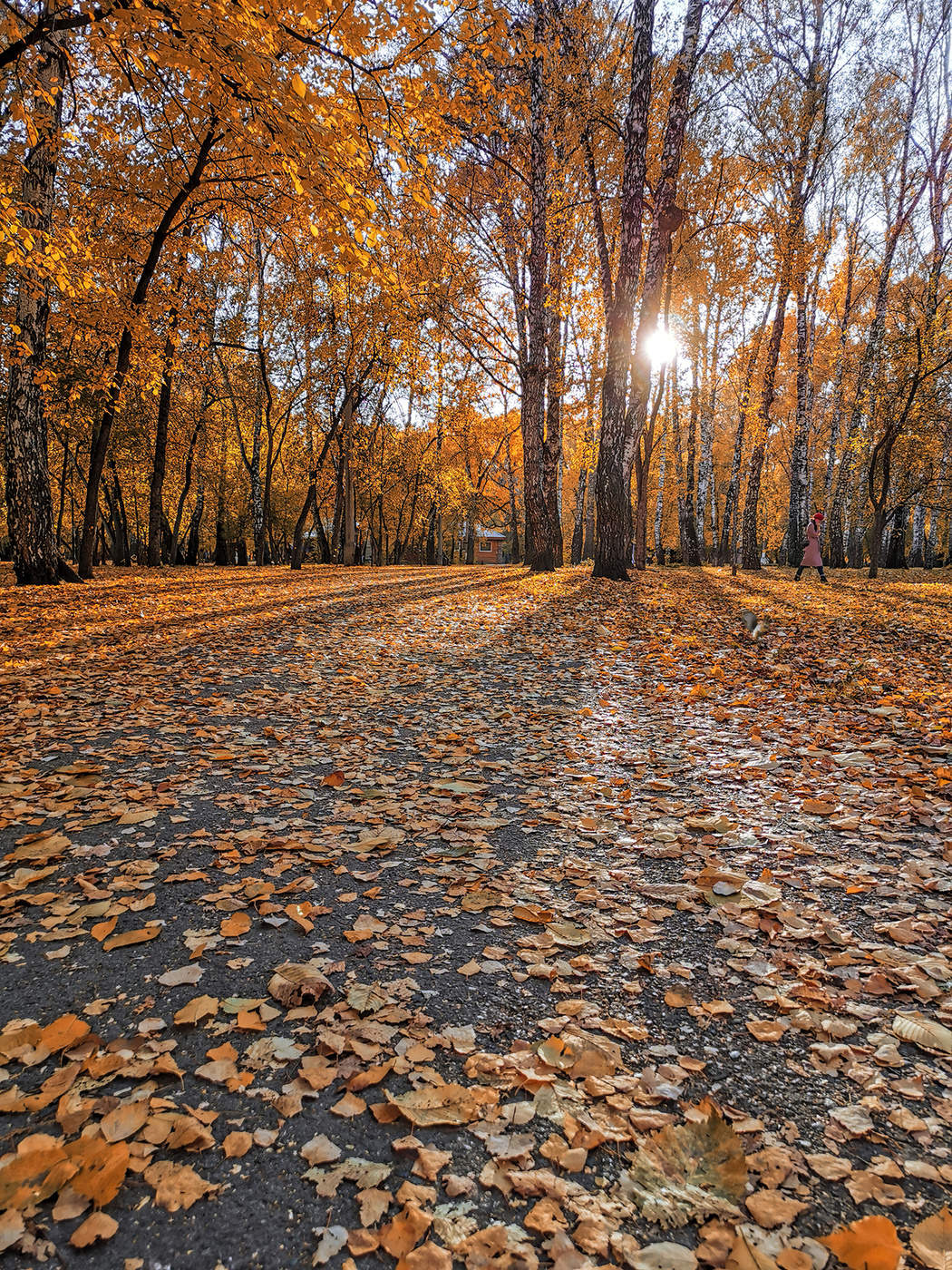 Октябрь во всей своей красе