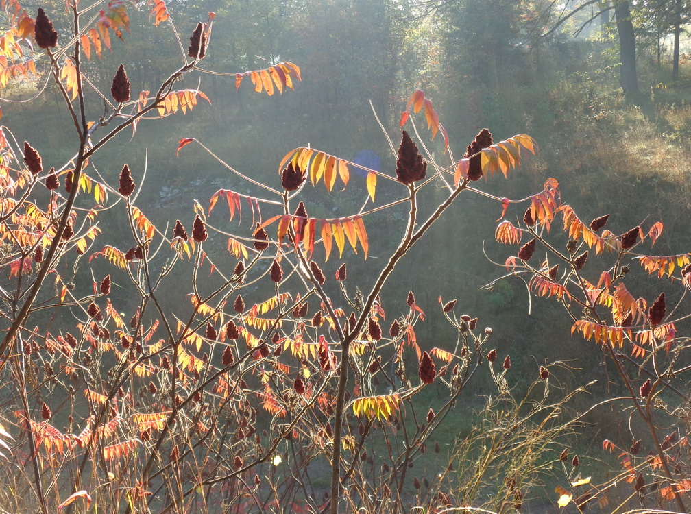 Октябрь во всей своей красе