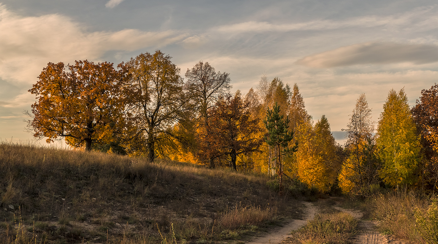 Октябрь во всей своей красе