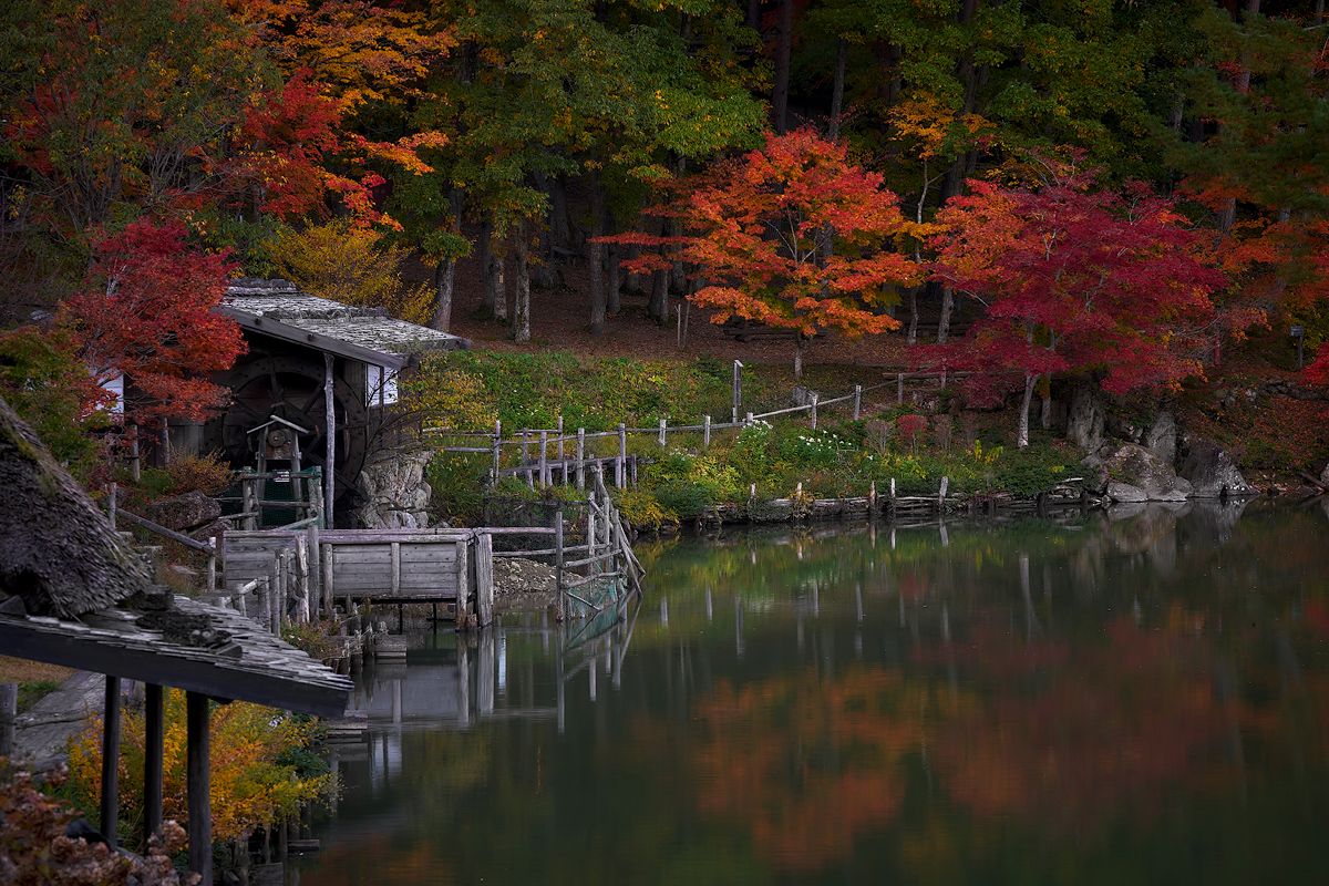 Октябрь во всей своей красе