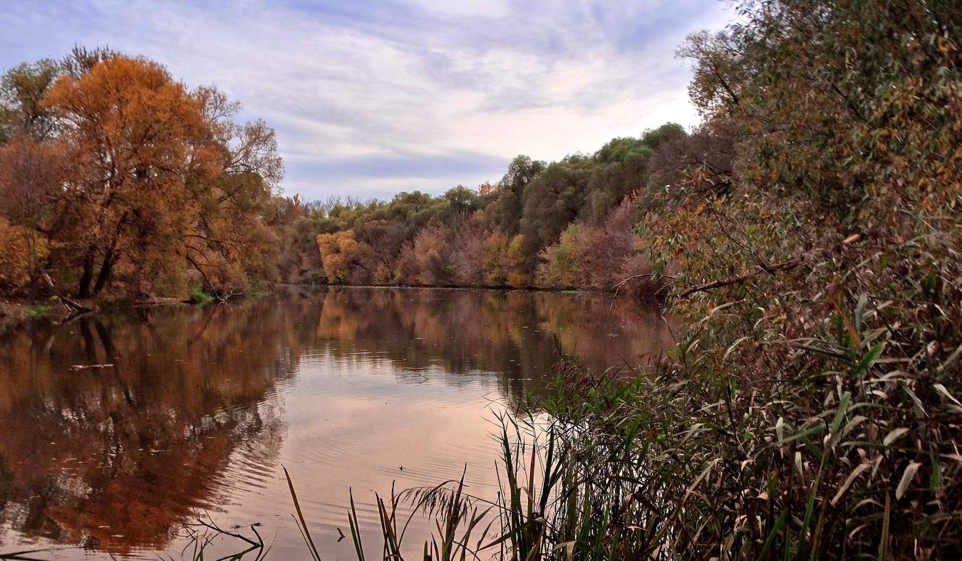 Октябрь во всей своей красе