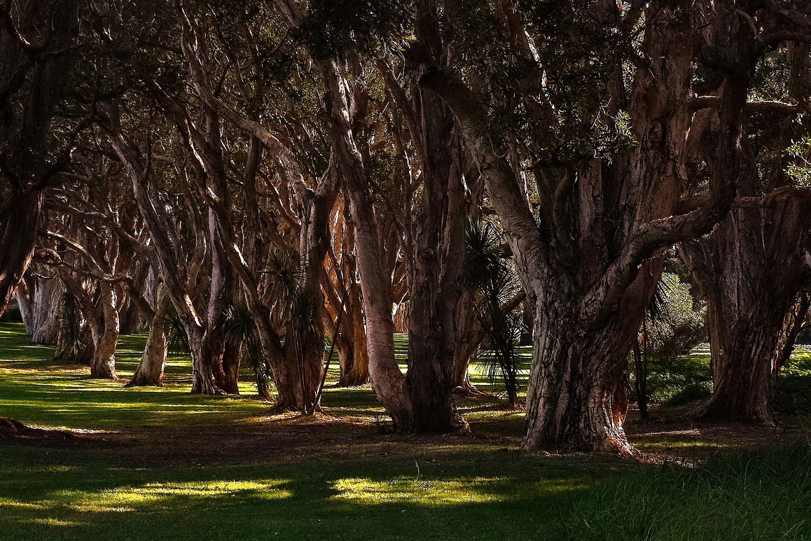 Октябрь во всей своей красе
