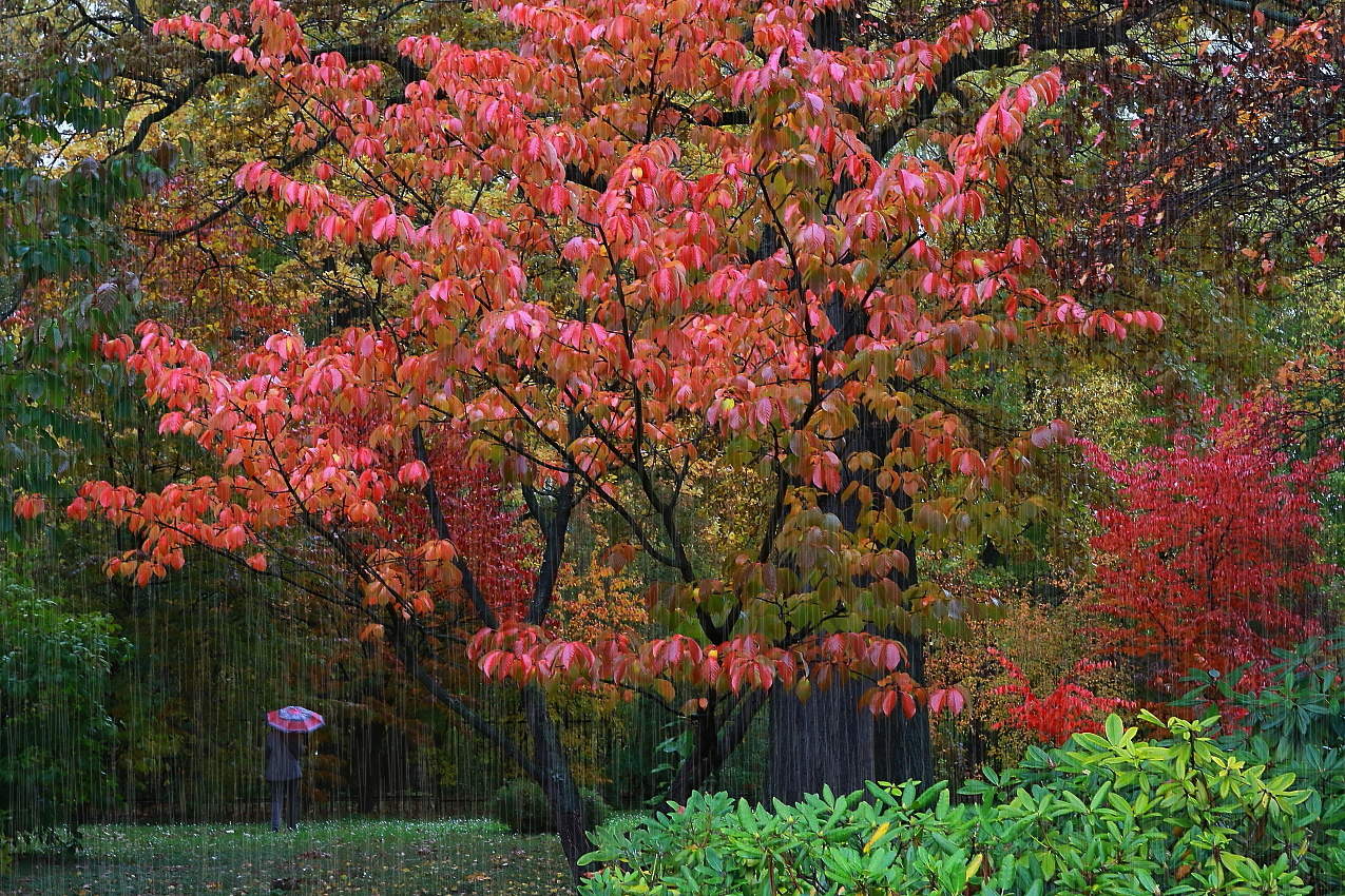 Октябрь во всей своей красе