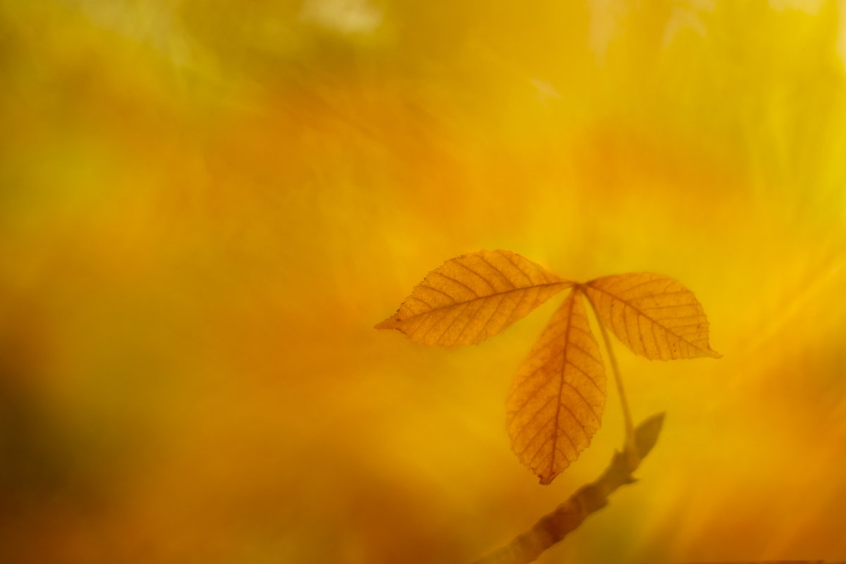 Октябрь во всей своей красе