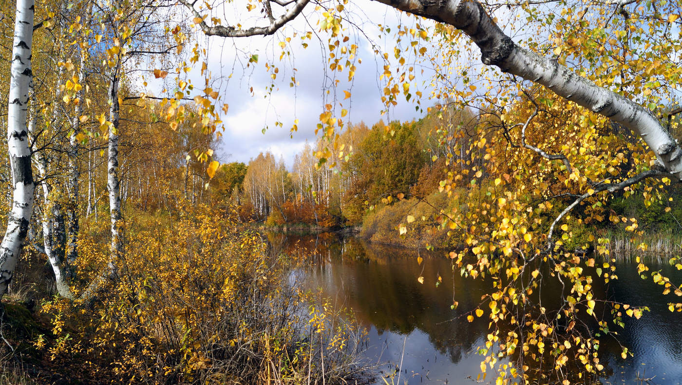 Октябрь во всей своей красе