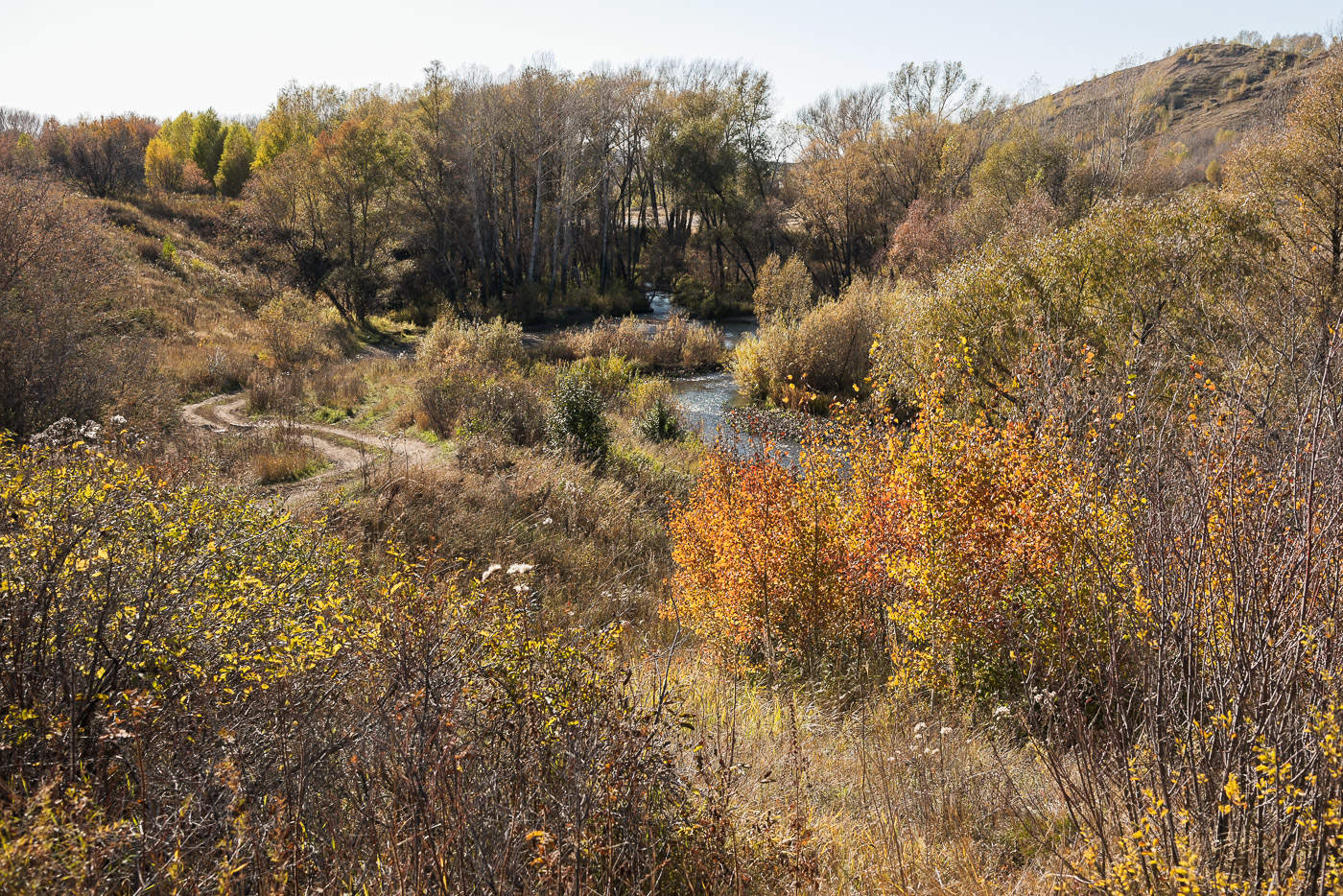 Октябрь во всей своей красе