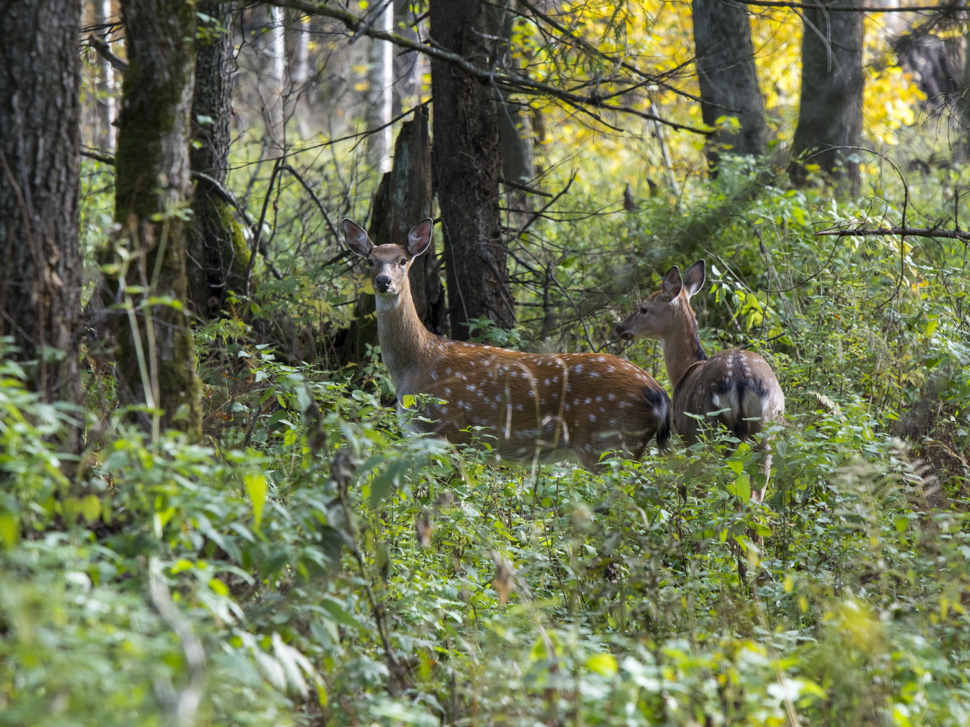 Октябрь во всей своей красе