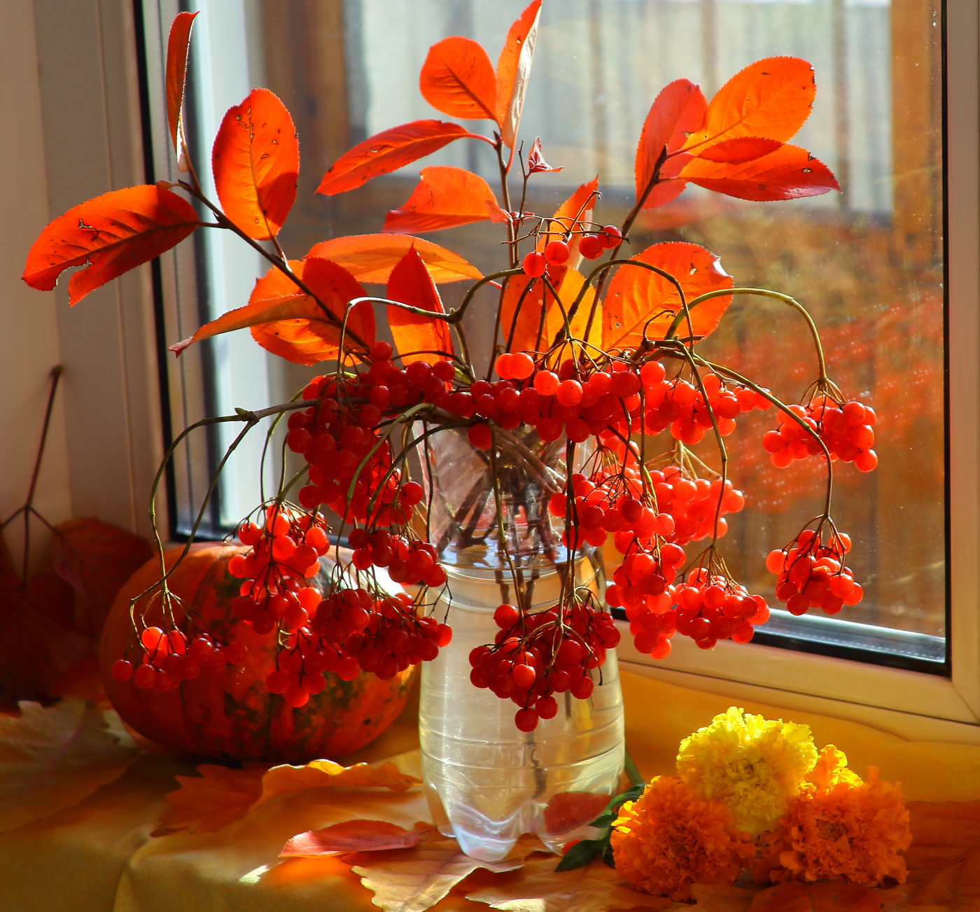 Октябрь во всей своей красе