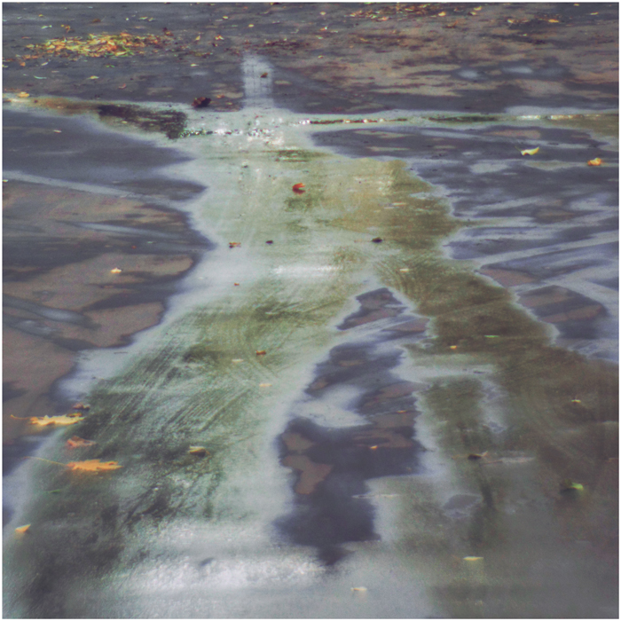 Октябрь во всей своей красе