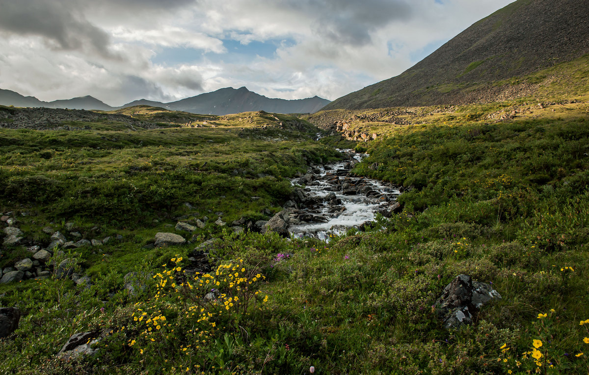Горный ручей...