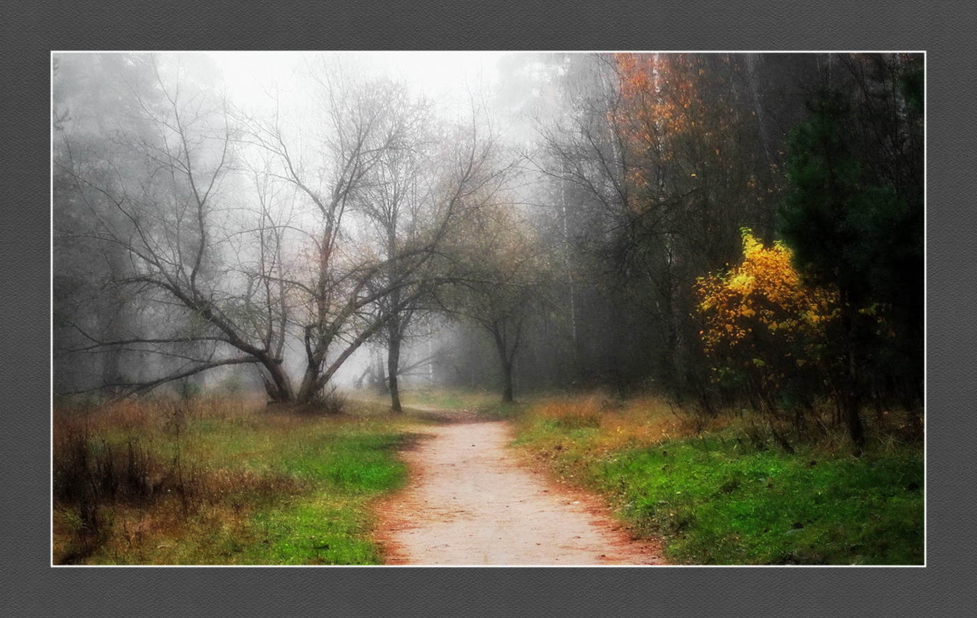 Октябрь во всей своей красе