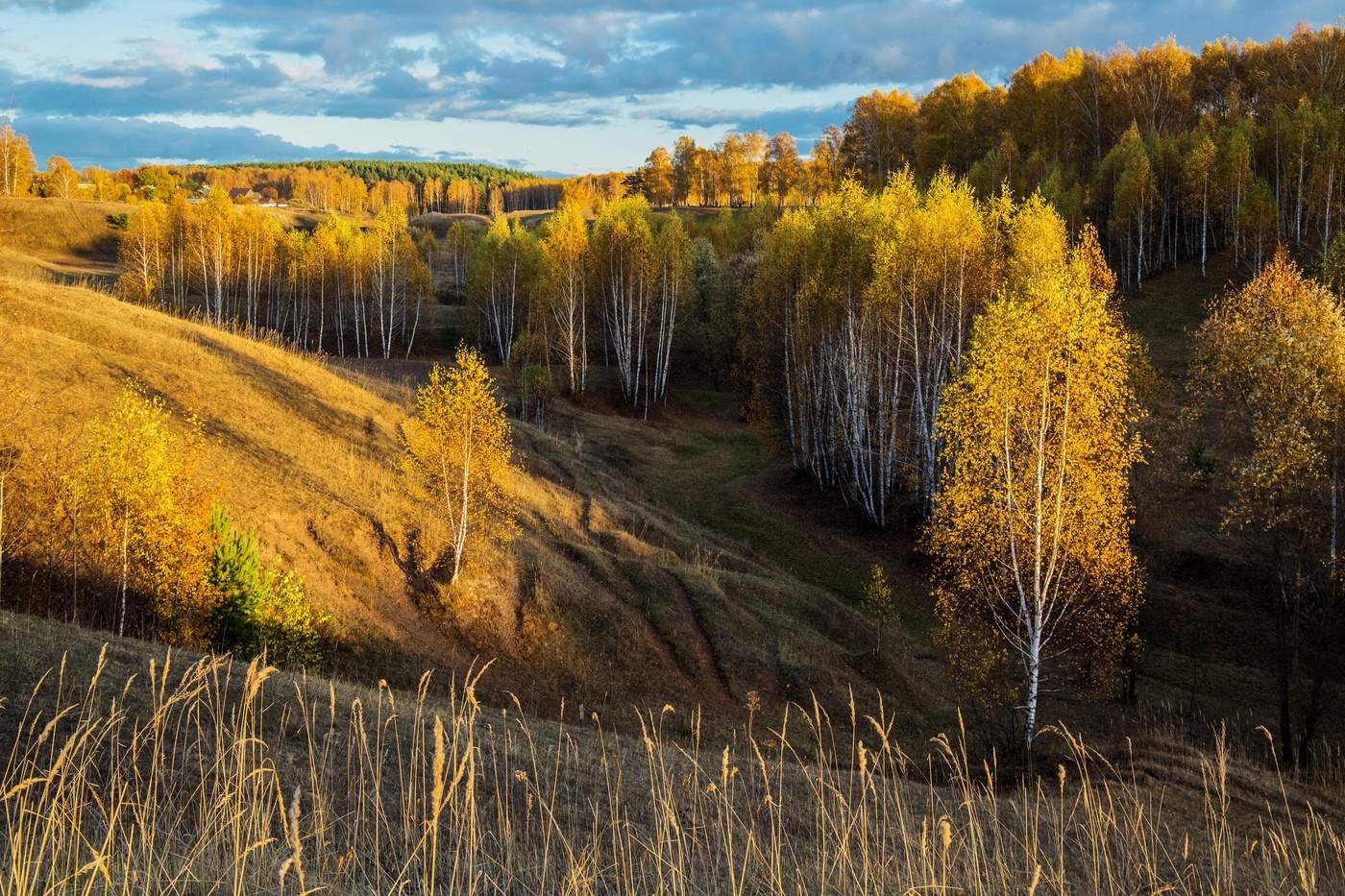 Октябрь во всей своей красе