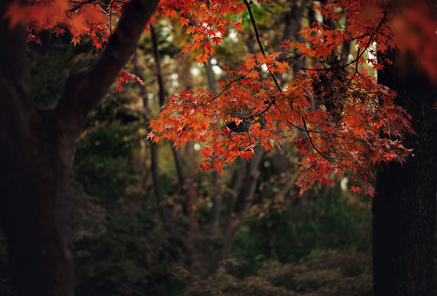 Самое загадочное время года.