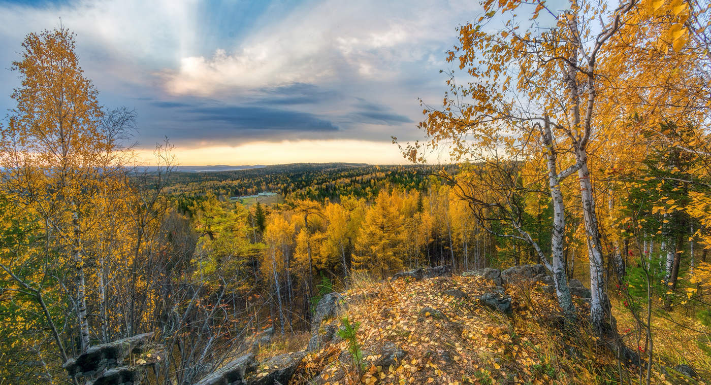 Пышное природы увяданье