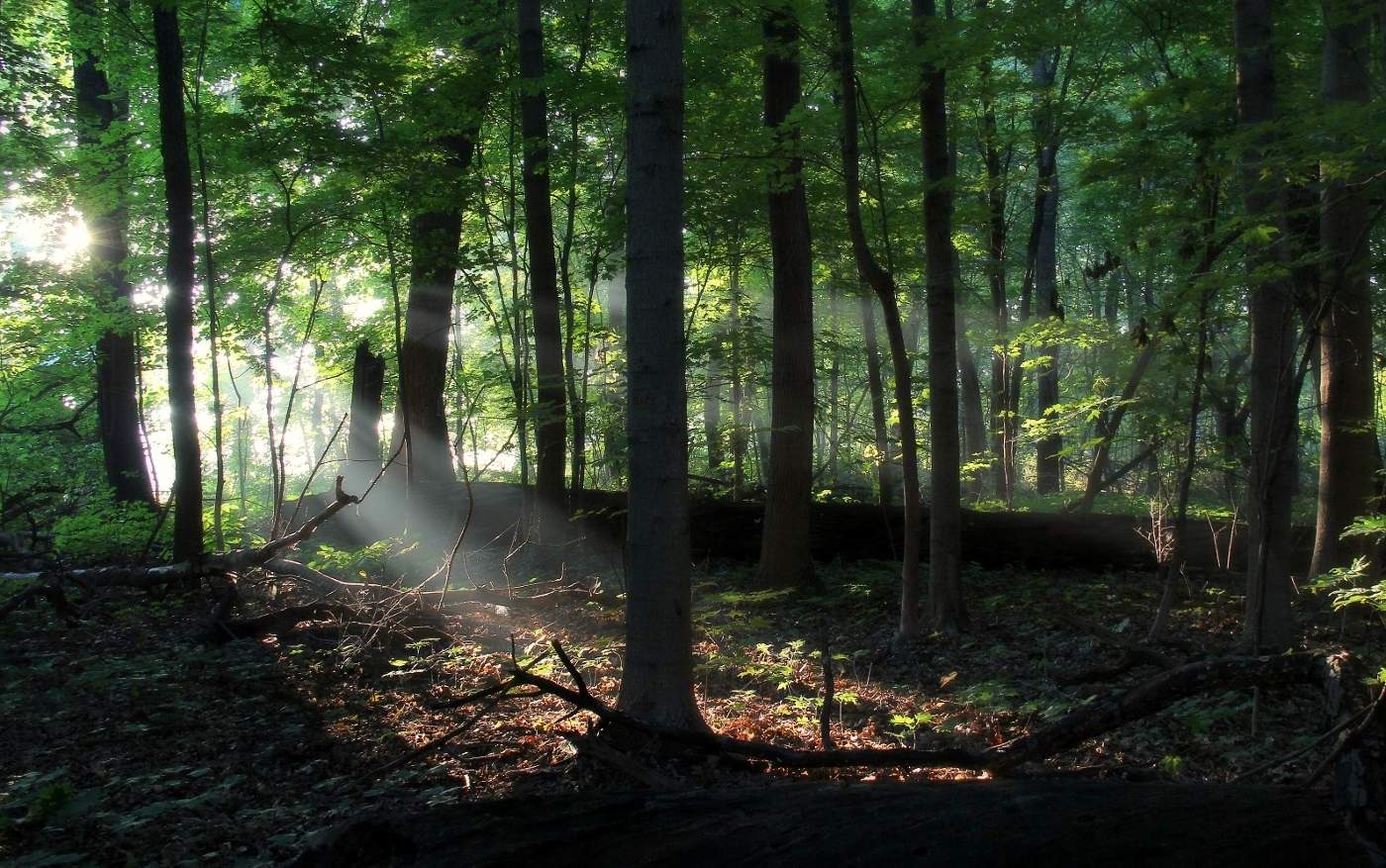 Просто сентябрь