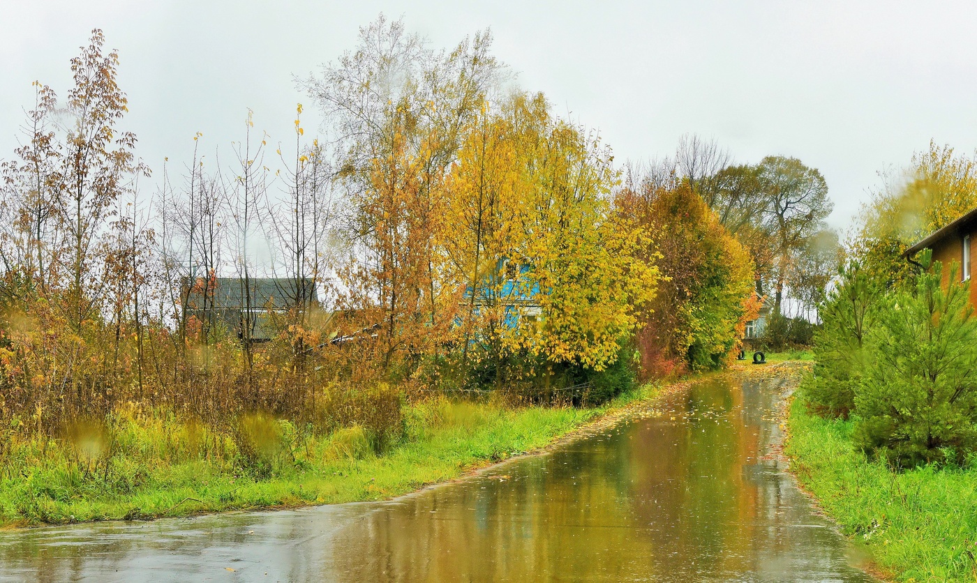 "Дождь моросящий третий день ..."