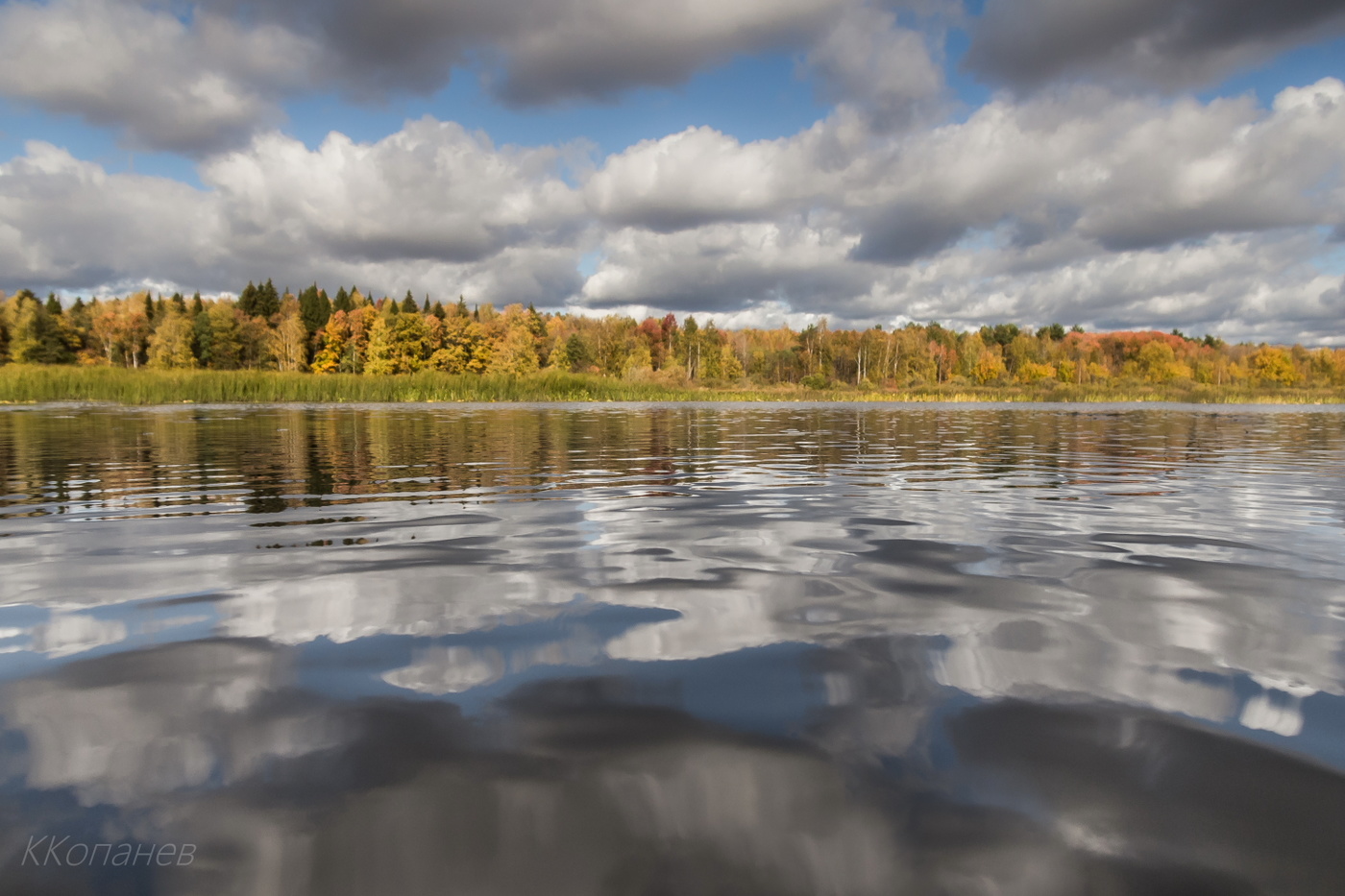 Хороший день