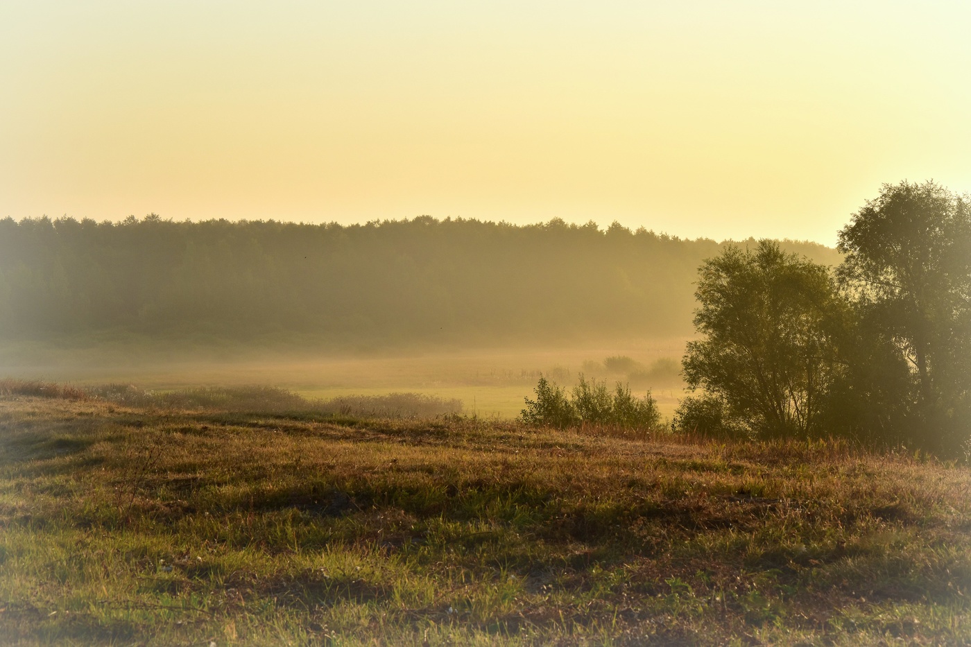 Туман клубится над полями
