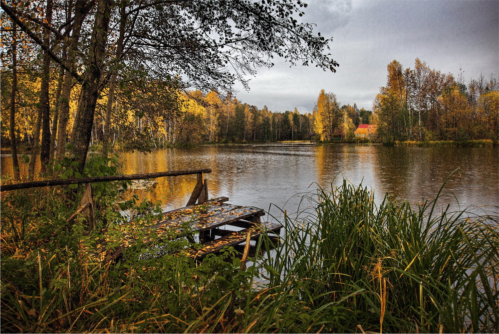 Дождик на Покров