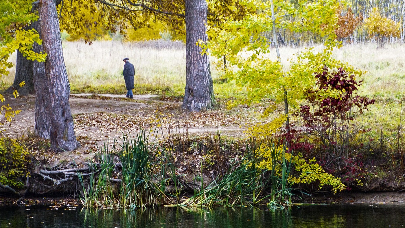 Осень жизни,