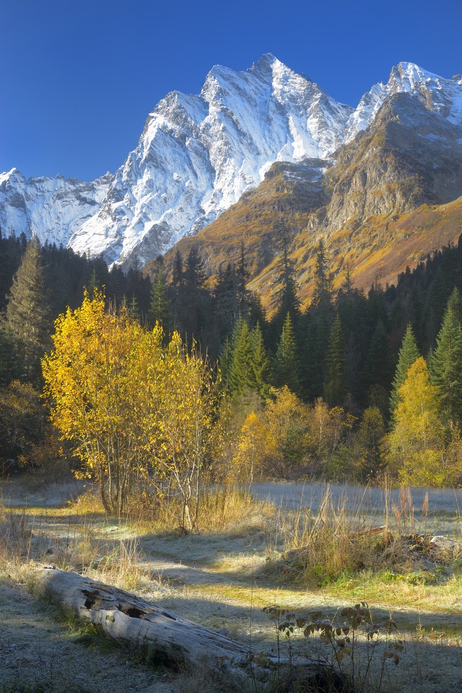 Осеннее утро в горах