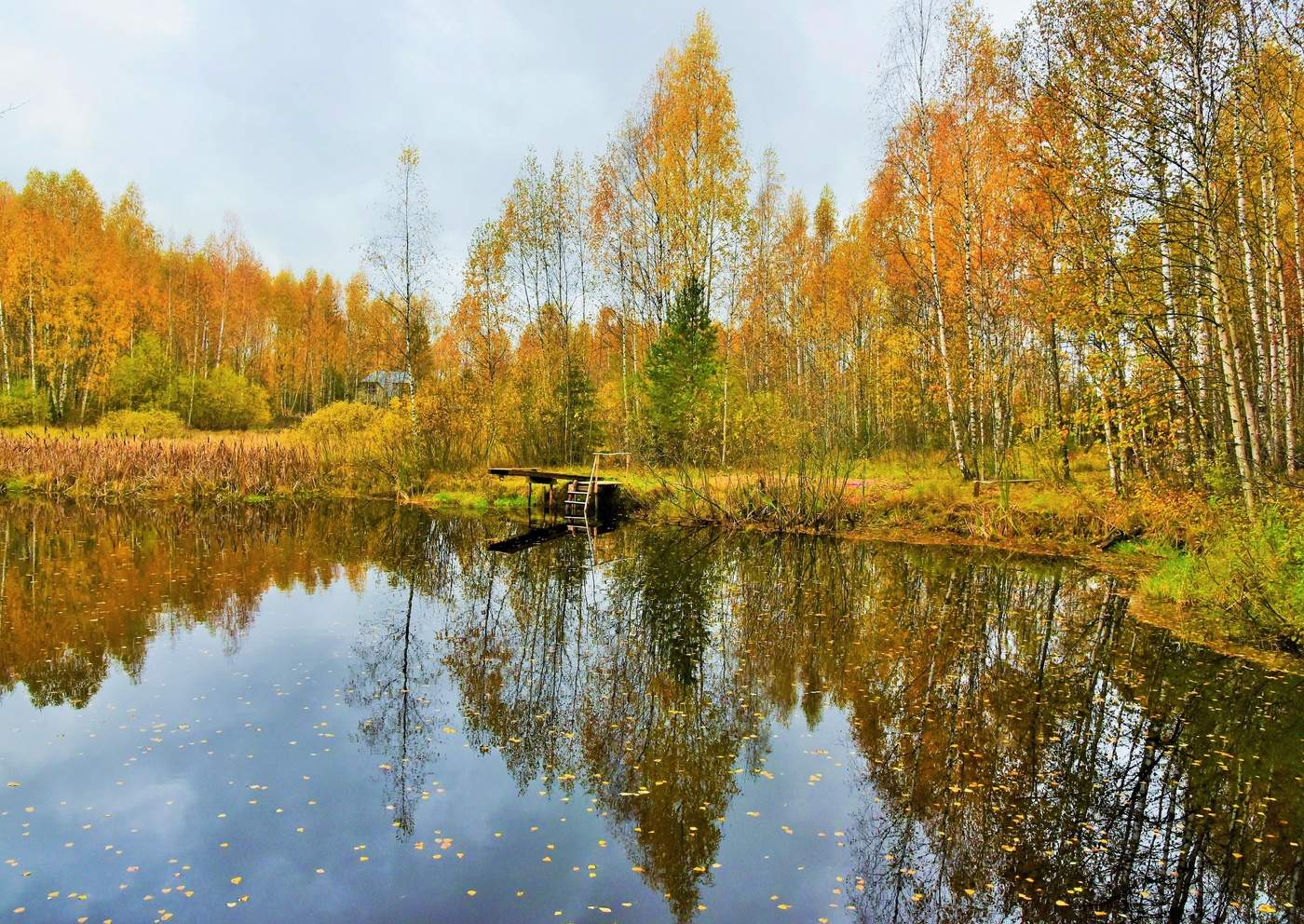 "И ветер стих, и дождь остановился ..."
