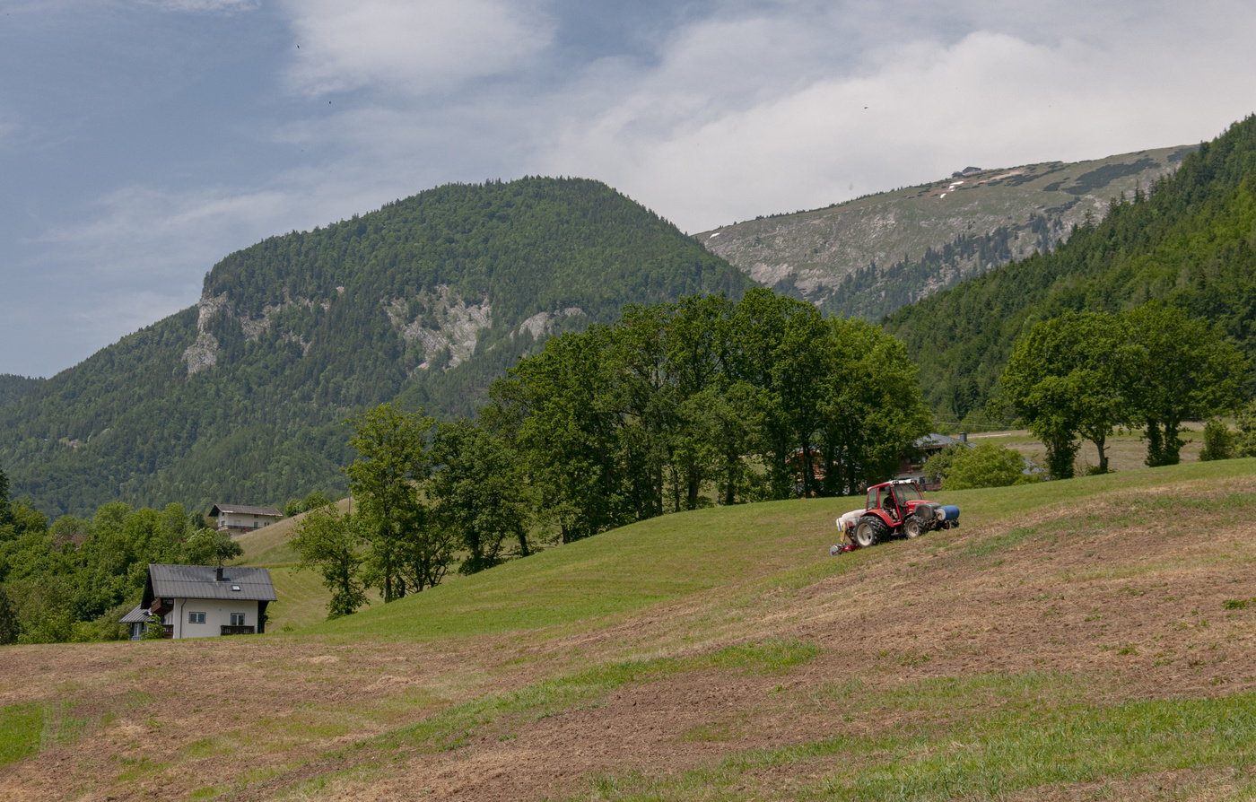Альпийский сюжет с трактором