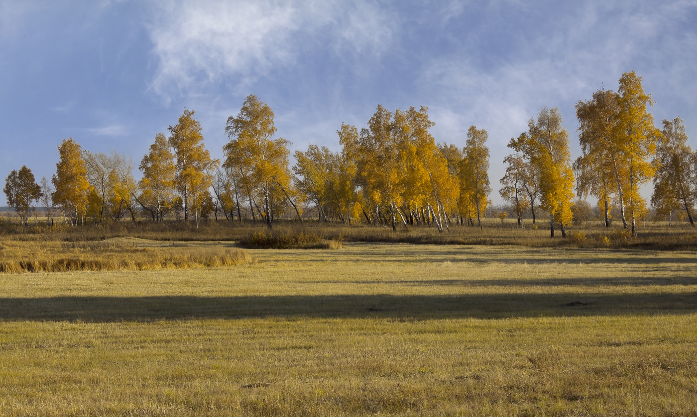 "край берез"