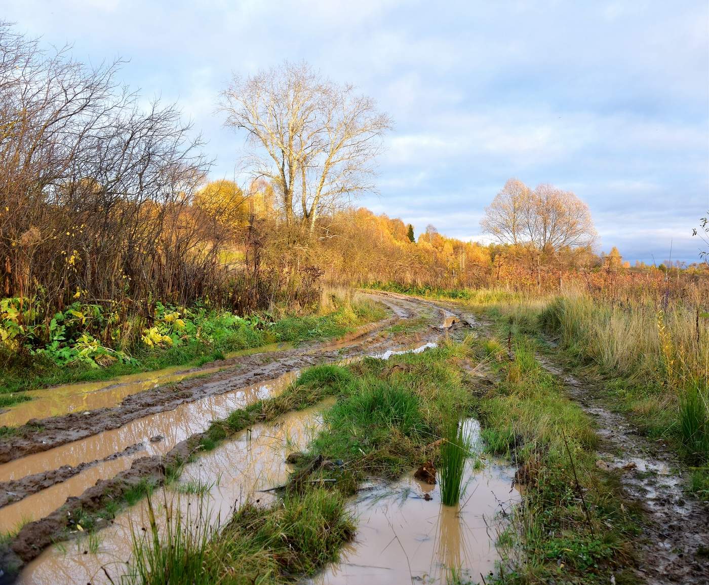 Осень – дикая кобыла в яблоках
