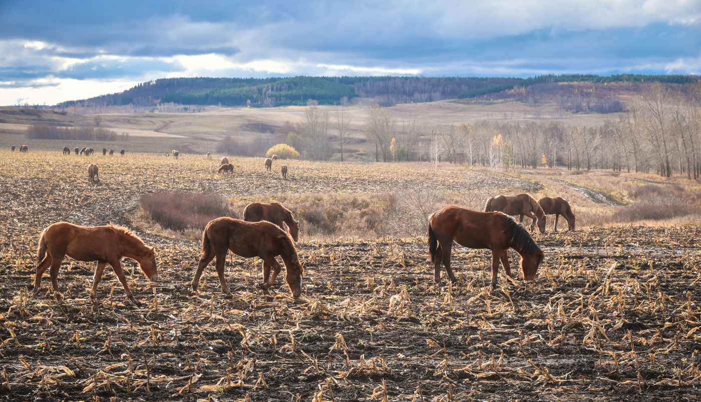 Просторы Башкирии