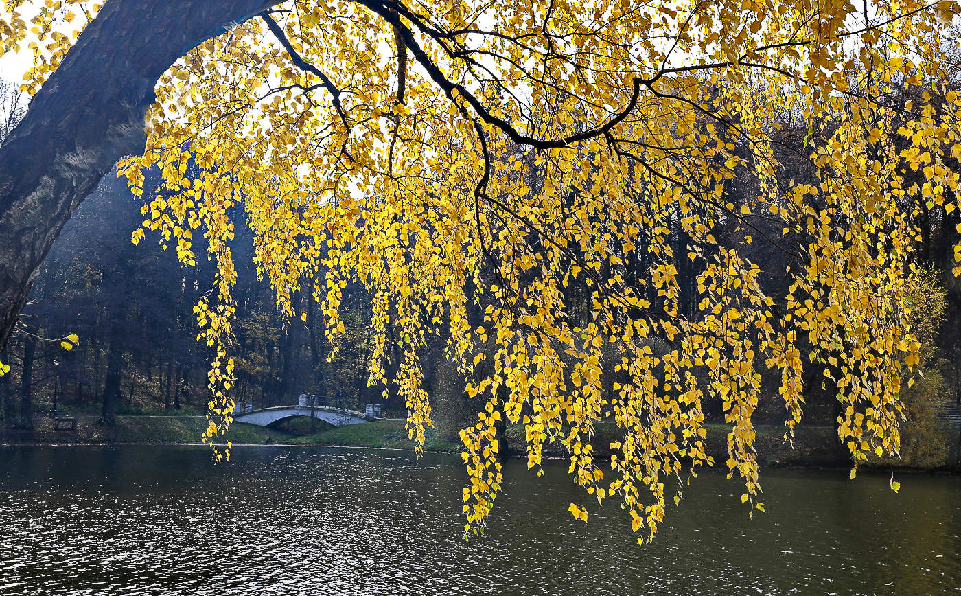 Из серии Царицынские мостики