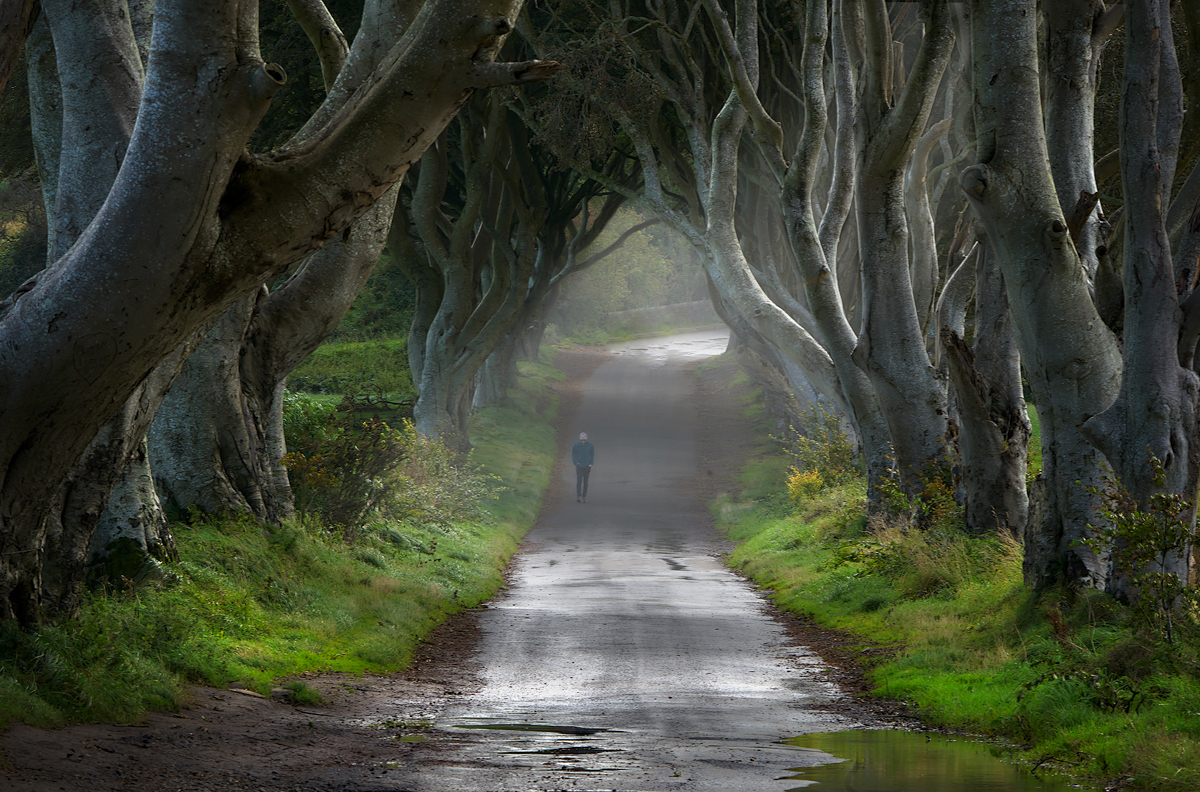 После дождя...