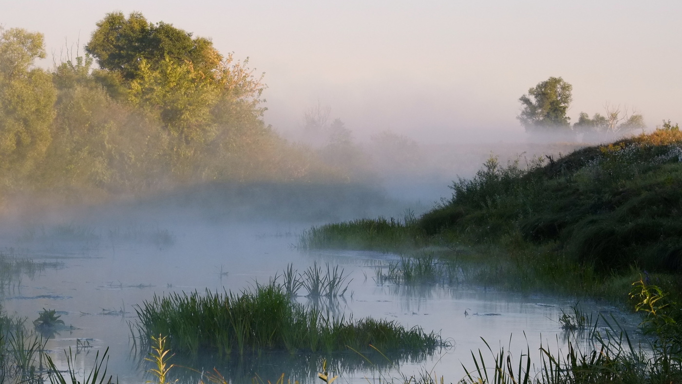 Августовское утро.